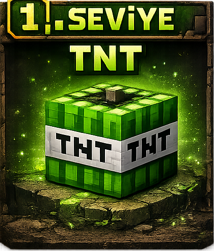 16x 1. Seviye TNT
