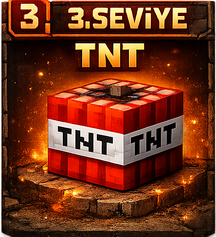 64x 3. Seviye TNT